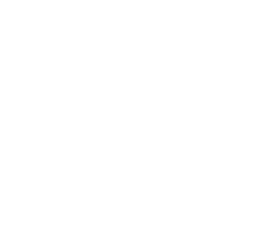 Van Allen Probes Logo